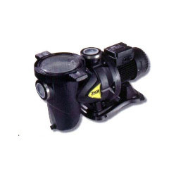 Manufacturers Exporters and Wholesale Suppliers of Swimming Pool Pump New Delhi Delhi